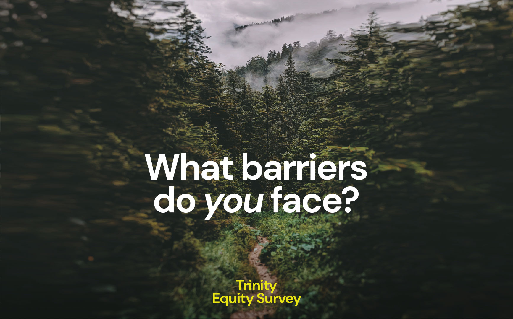 What barriers do you face? A Trinity County Public Health Survey.